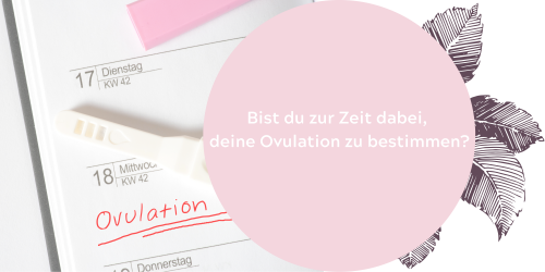 Ovulationstest